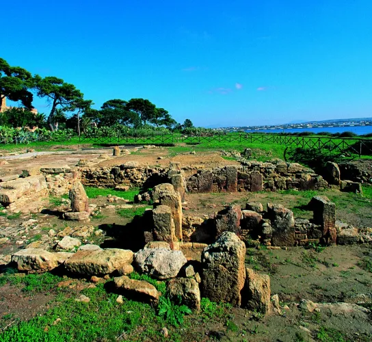 isola di mozia museo