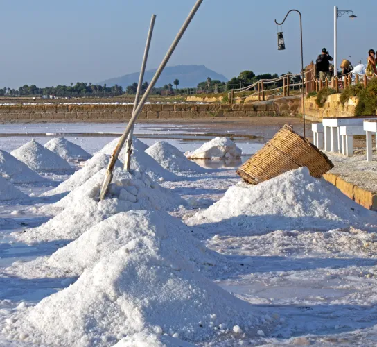 Saline di marsala raccolta sale