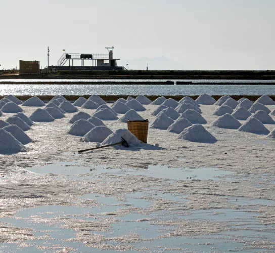 Saline di marsala raccolta sale